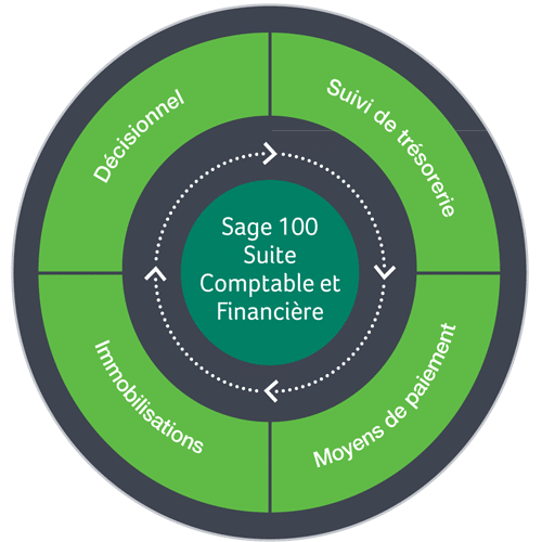 Int Grateur De Logiciel De Comptabilit Sage Pour Pme